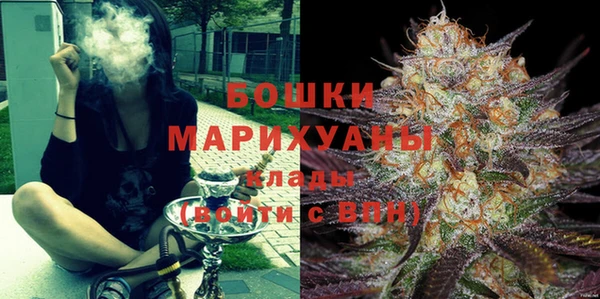 крисы Вязьма