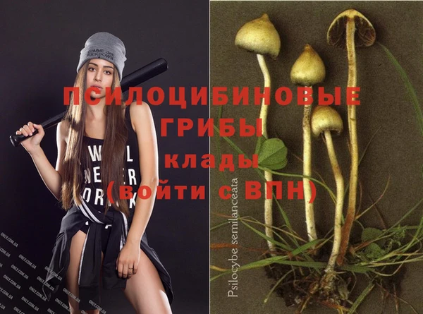 прущая мука Володарск