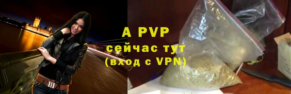 крисы Вязьма