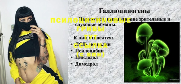крисы Вязьма